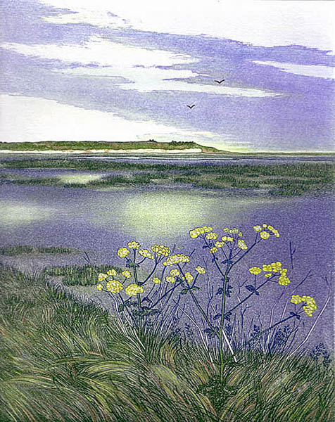 Saltmarsh